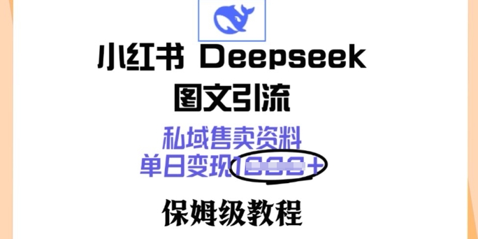 小红书Deepseek图文引流，私域售卖资料，单日变现多张，保姆级教程-匠马插画笔刷课程资料网