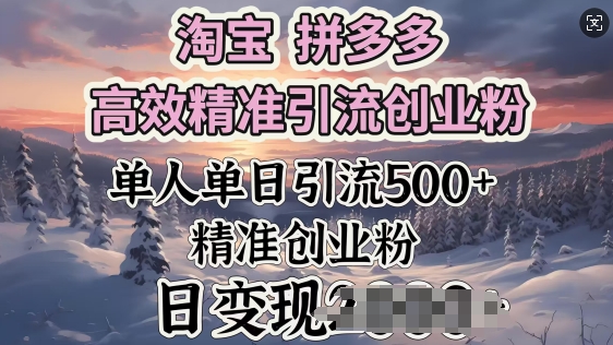淘宝拼多多高效精准引流创业粉，单人单日引流500+创业粉，日变现多张-匠马插画笔刷课程资料网