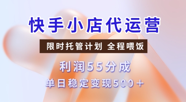 快手小店代运营3.0，模式新升级，收益55分，稳定单日5张【揭秘】-匠马插画笔刷课程资料网