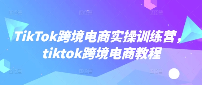 TikTok跨境电商实操训练营，tiktok跨境电商教程-匠马插画笔刷课程资料网