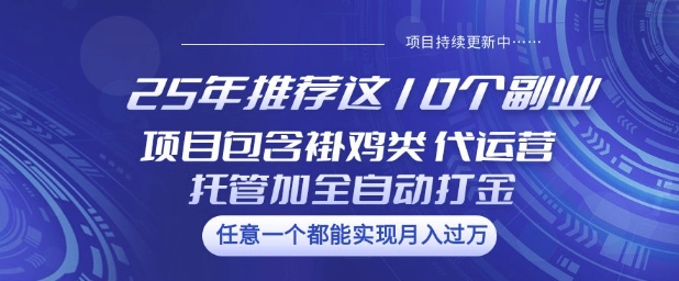 25年推荐这10个副业项目包含褂鸡类、代运营托管类、全自动打金类【揭秘】-匠马插画笔刷课程资料网