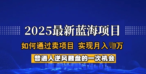 2025蓝海项目,普通人如何通过卖项目,实现月入过W,全过程【揭秘】-匠马插画笔刷课程资料网