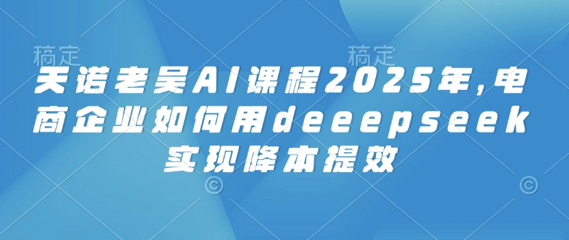 天诺老吴AI课程2025年，电商企业如何用deeepseek实现降本提效-匠马插画笔刷课程资料网
