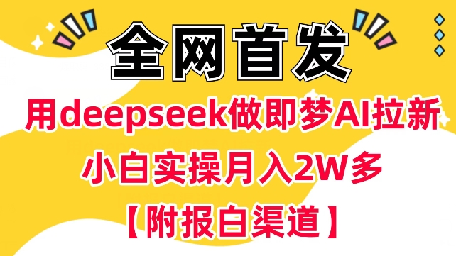 用deepseek做即梦Ai拉新 小白实操月入过W+【附报白渠道】-匠马插画笔刷课程资料网