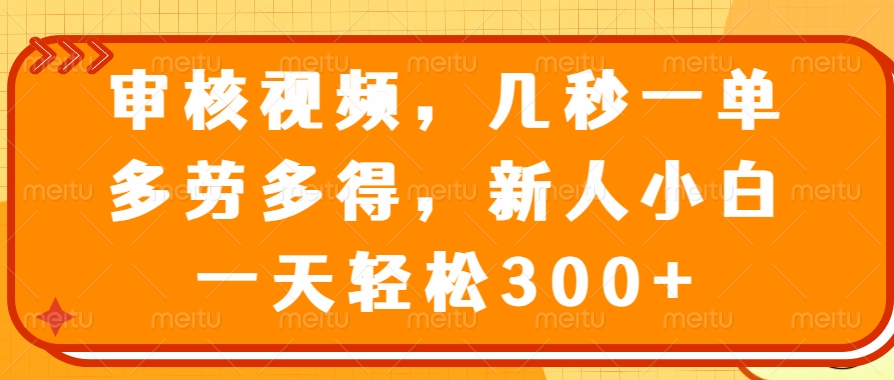 （14294期）审核视频，几秒一单，多劳多得，新人小白一天轻松300+-匠马插画笔刷课程资料网