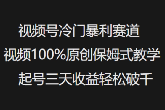 视频号冷门暴利赛道视频100%原创保姆式教学起号三天收益轻松破千-匠马插画笔刷课程资料网