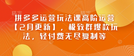 拼多多运营玩法课高阶运营【2月更新】，极致群爆款玩法，轻付费无尽复制等-匠马插画笔刷课程资料网