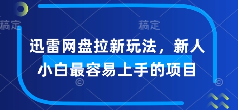 迅雷网盘拉新玩法，新人小白最容易上手的项目-匠马插画笔刷课程资料网