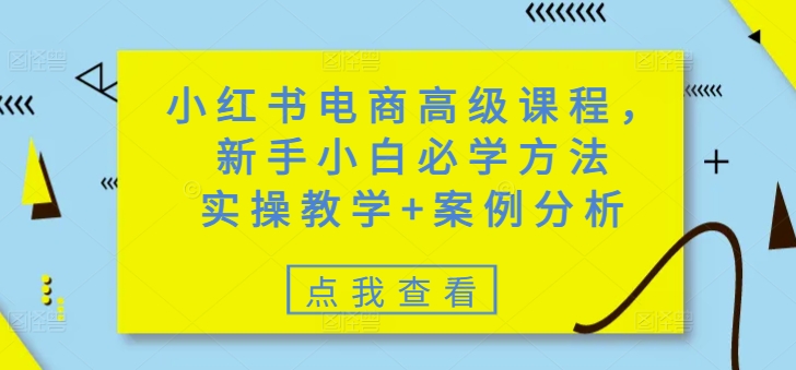 小红书电商高级课程,新手小白必学方法,实操教学+案例分析-匠马插画笔刷课程资料网