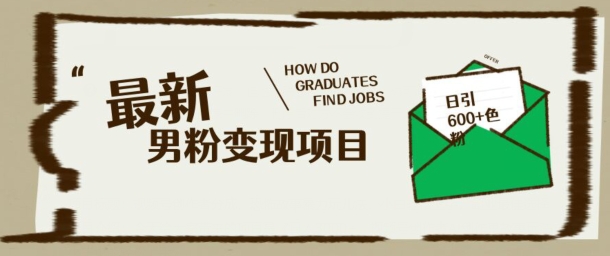 最新男粉变现项目，日引100+S粉，流量爆炸，小白轻松上手-匠马插画笔刷课程资料网